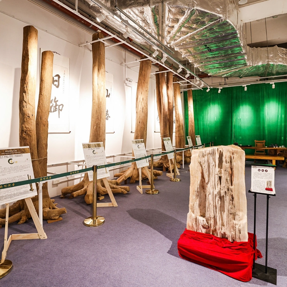 0430 CTM 直播尊享 : 燊明沉香文化會館 沉香工作坊 (沉香茶飲、香道+DIY沉香珠戒指4mm)