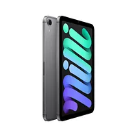 iPad mini (2024) WIFI 128GB 